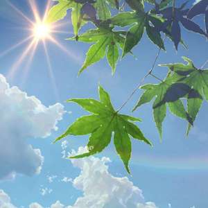 500第一导航亚洲精品导航
